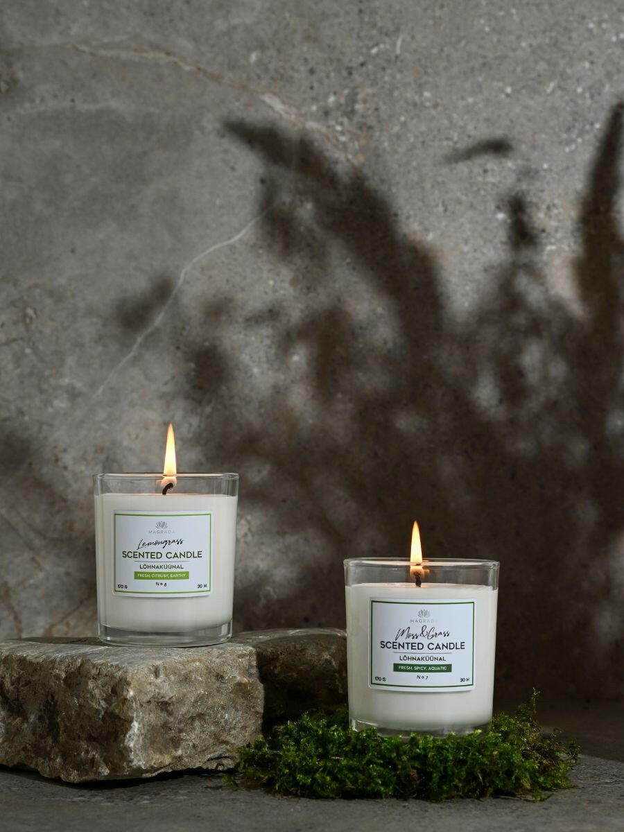 Moss & Grass Scented Candle - 170 g